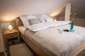 Wohnung in Zieleniewo mit Garten und Grill, Zieleniewo